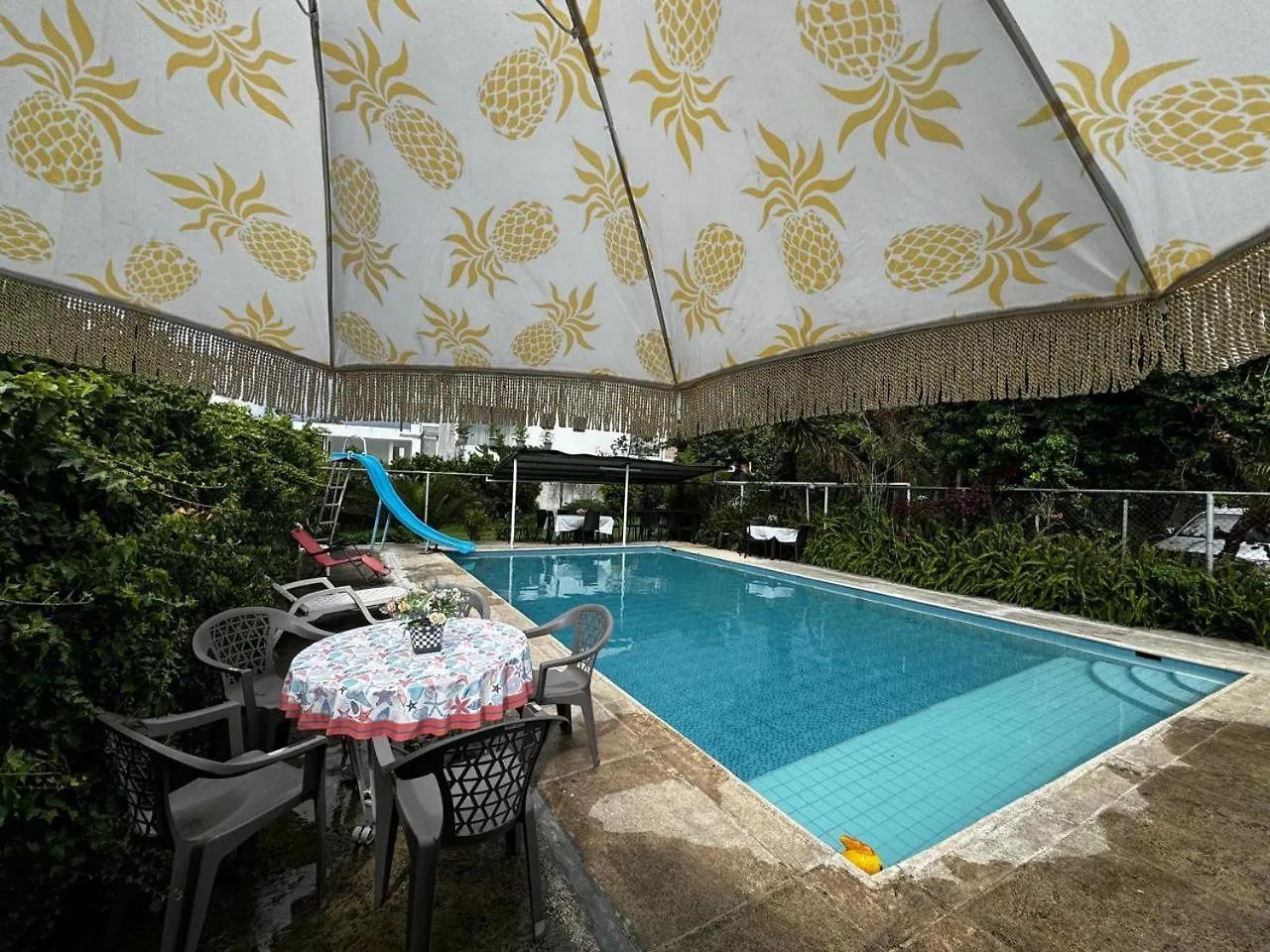 Casa Elalu Lägenhet Quito Ecuador